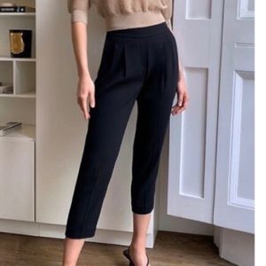 Aritzia Babaton Cohen Twill Pant